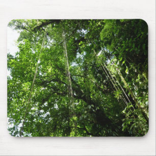 Tapis De Souris Jungle Ropes Rainforest Photographie