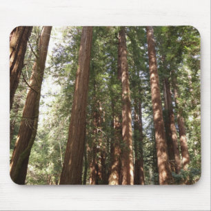 Tapis De Souris Jusqu'aux séquoias II à Muir Woods National Monume