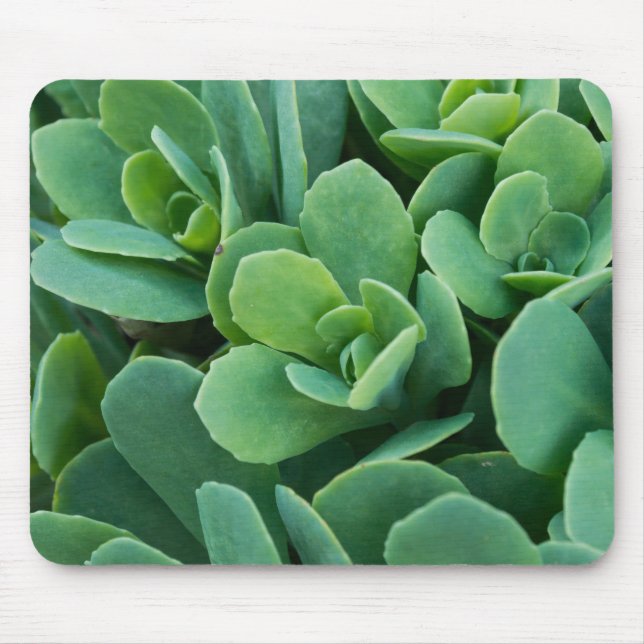 Tapis De Souris Just Sedum (Devant)