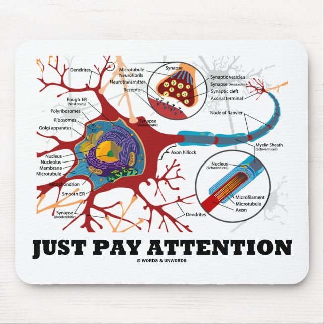 Tapis De Souris Juste attention de salaire (neurone/synapse) (Devant)