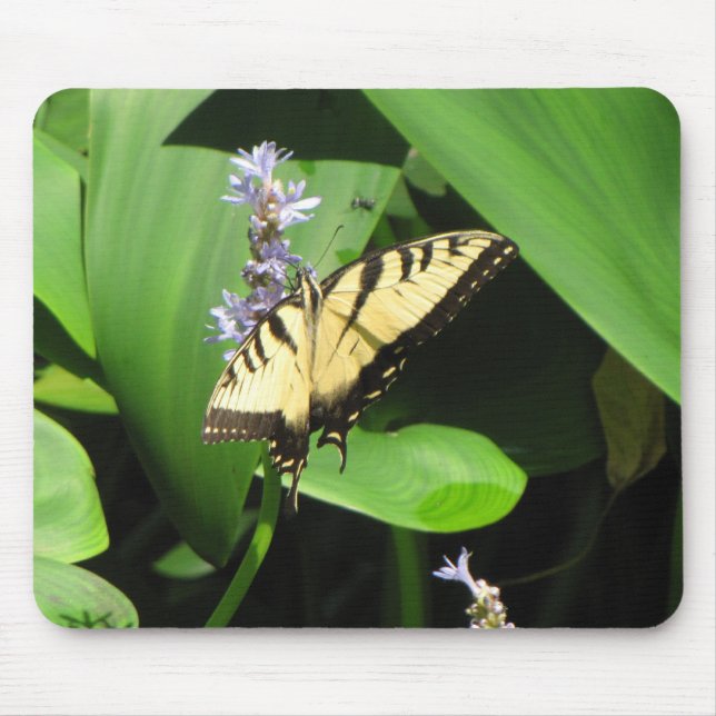 Tapis De Souris Juste un autre magnifique papillon (Devant)