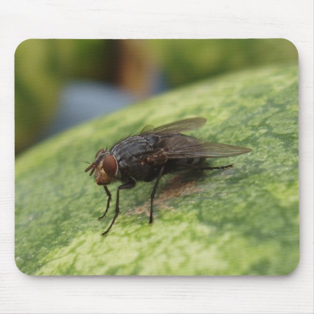 Tapis De Souris Juste une image folle (Devant)