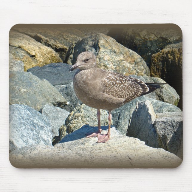 Tapis De Souris Juvenile Great Black-Backed Gull (Devant)