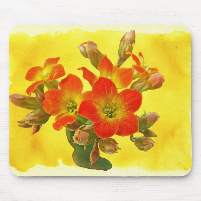 Tapis De Souris Kalanchoe rouge - Soleil Succulent (Devant)