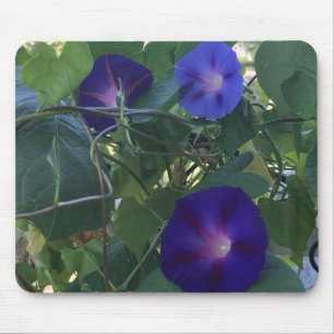 Tapis De Souris Kaléidoscope de Volubilis en Gros Plan