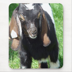 Tapis De Souris Kalvin