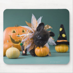 Tapis De Souris Kanagawa, Honshu, Japon