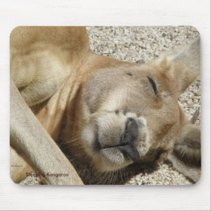 Tapis de souris Kangourou dormant Photo Australie