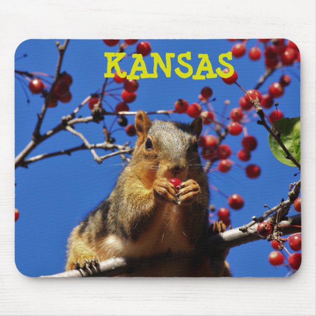 Tapis De Souris Kansas Fox Tail Squirrel Mouse PAD (Devant)