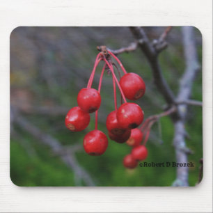 Tapis De Souris Kansas Red Berries shot closeup Mouse Pad