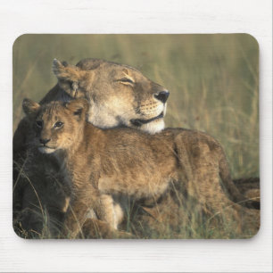 Tapis De Souris Kenya, réserve de gibier Masai Mara, lionne