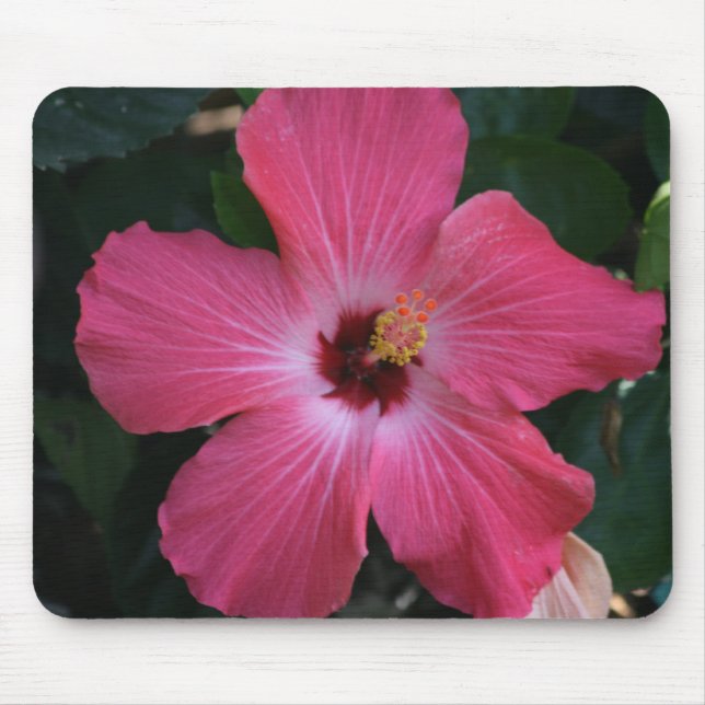 Tapis De Souris ketmie rose (Devant)