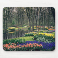 Keukenhof, un banquet floral