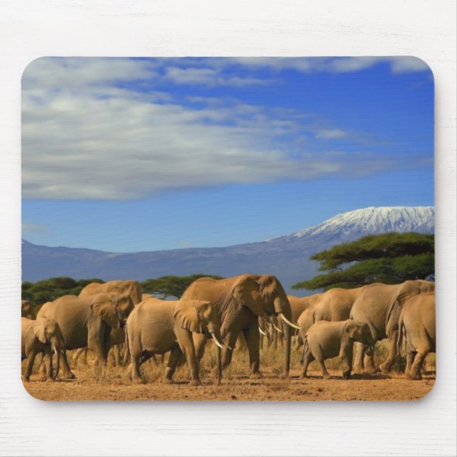 Tapis De Souris Kilimanjaro et éléphants (Devant)