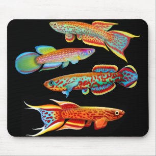 Tapis De Souris Killifish coloré Mousepad