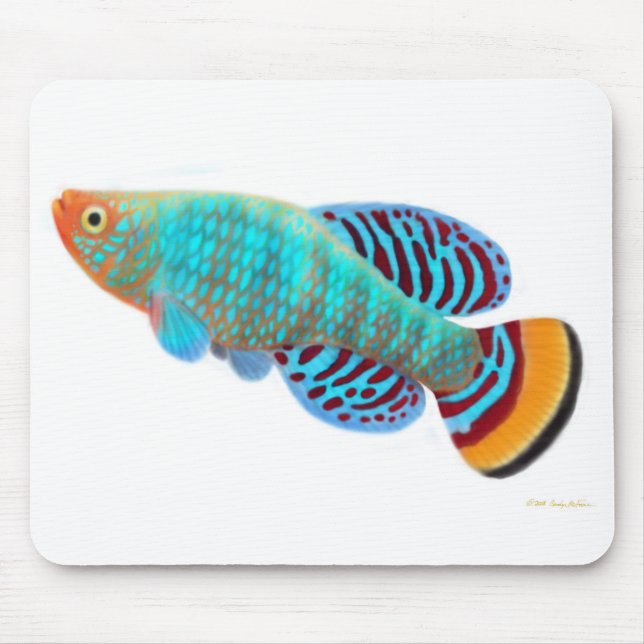 Tapis De Souris Killifish Mousepad de Nothobranchius Rachovii (Devant)