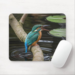Tapis De Souris Kingfisher Bird