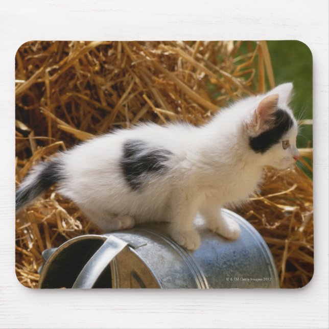 Tapis De Souris Kitten assis sur la canette d'arrosage (Devant)