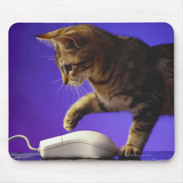 Tapis De Souris Kitten avec souris d'ordinateur (Devant)