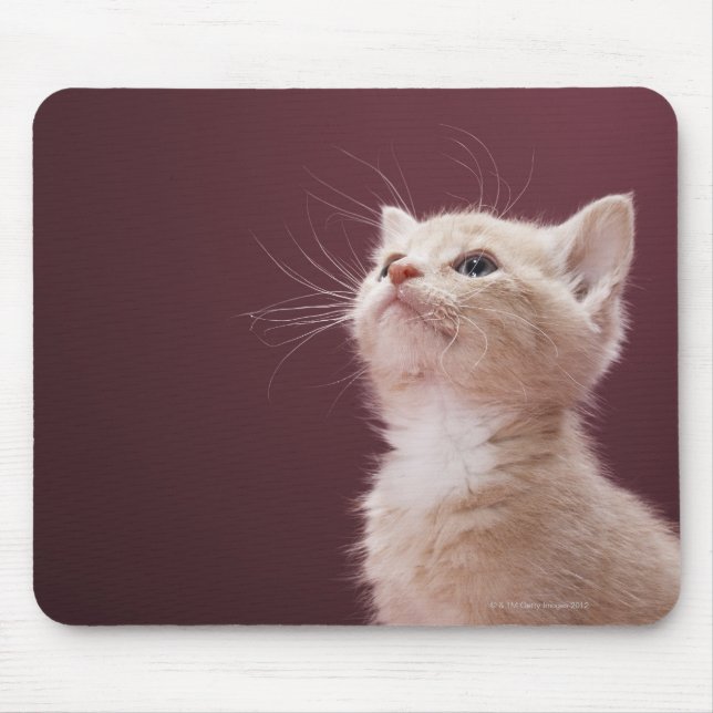 Tapis De Souris Kitten avec Whiskers (Devant)
