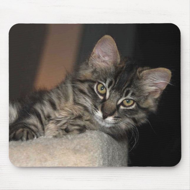 Tapis De Souris Kitten Chillin' Souris (Devant)