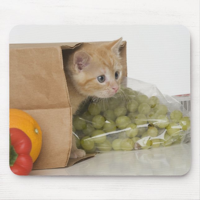 Tapis De Souris Kitten dans le sac d'épicerie (Devant)