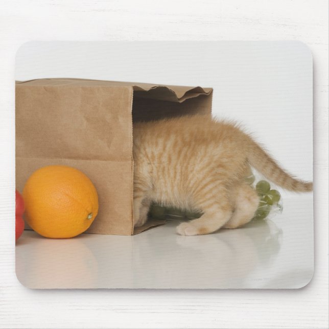 Tapis De Souris Kitten dans le sac d'épicerie (Devant)