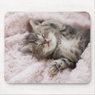 Tapis De Souris Kitten Dormir sur la serviette