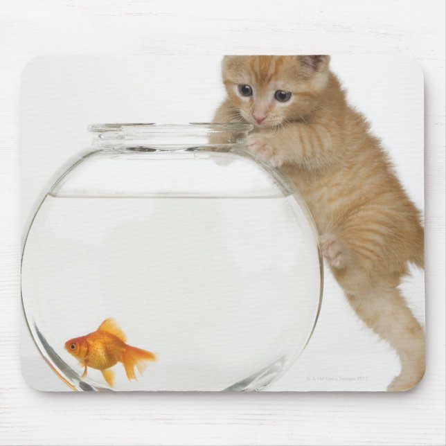 Tapis De Souris Kitten essayant d'atteindre un poisson rouge (Devant)