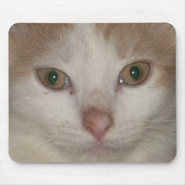 Tapis De Souris kitten face 1 mousepad (Devant)
