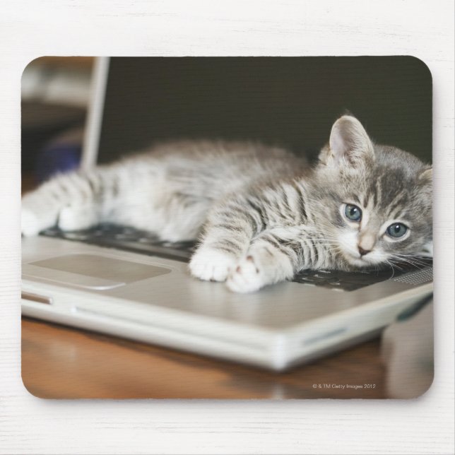 Tapis De Souris Kitten reposant sur ordinateur portable (Devant)