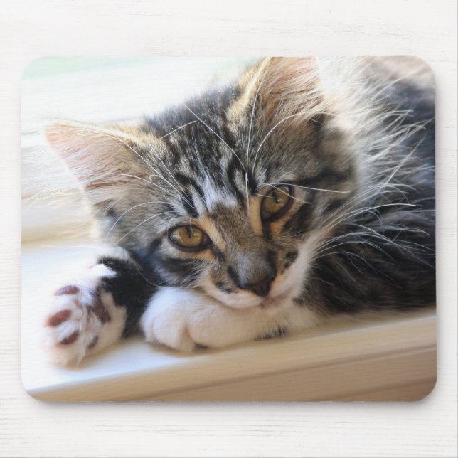 Tapis De Souris Kitten sur le tableau de bord de la souris (Devant)