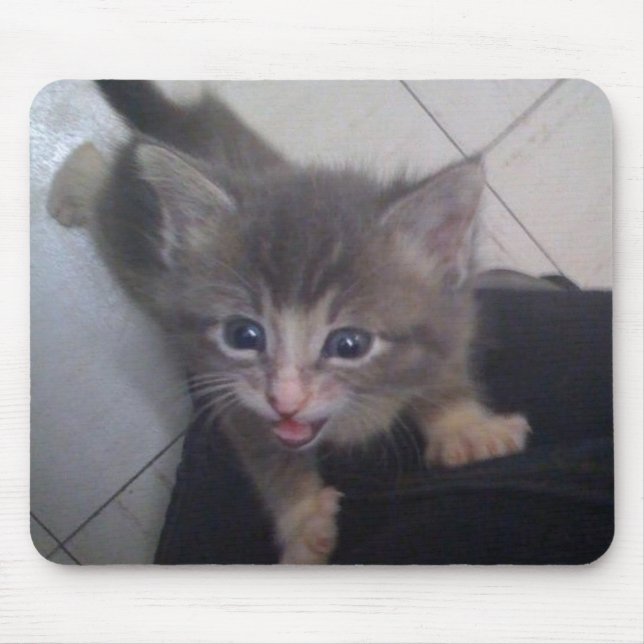 Tapis De Souris kittty (Devant)
