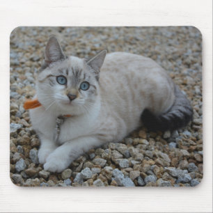Tapis De Souris Kitty