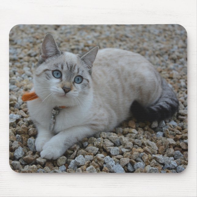 Tapis De Souris Kitty (Devant)