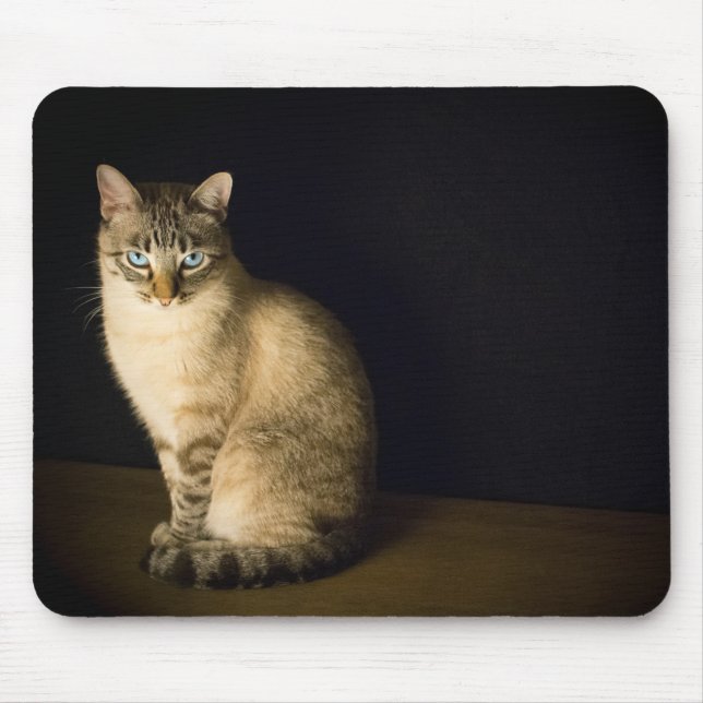 Tapis De Souris Kitty blue eyes (Devant)
