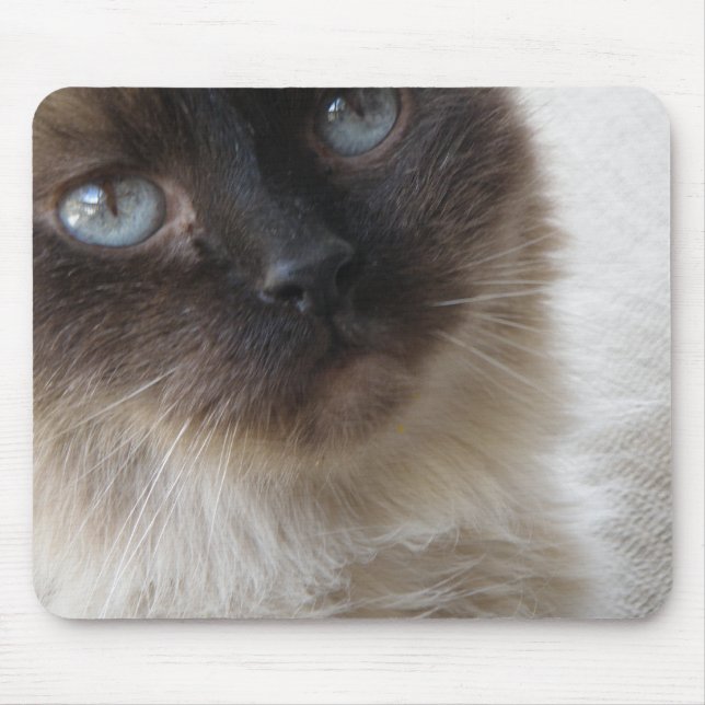 Tapis De Souris Kitty Mousepad de l'oeil bleu (Devant)