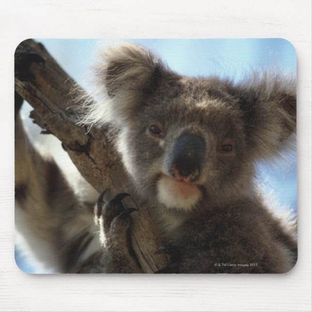 Tapis De Souris koala (Devant)