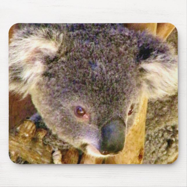 Tapis De Souris Koala Love_ (Devant)