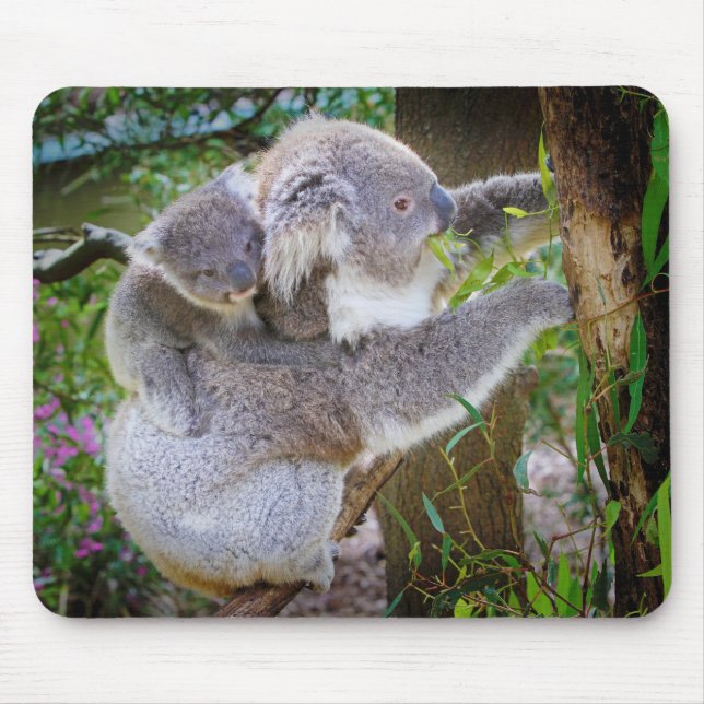 Tapis De Souris Koala maman fils (Devant)