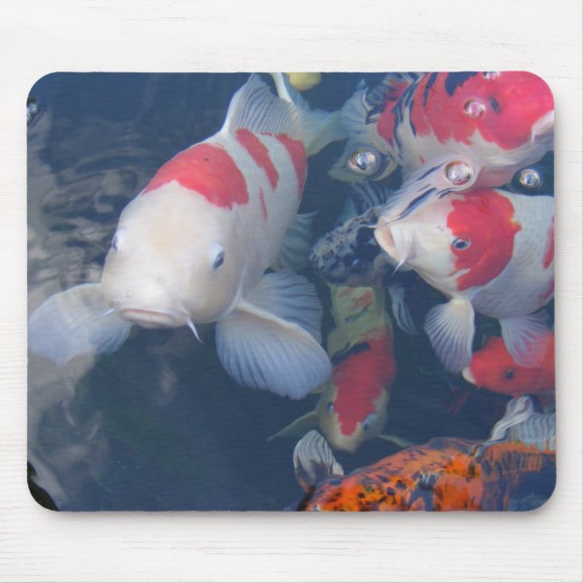 Tapis De Souris Koi (Devant)