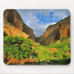Tapis De Souris Kolob Canyon à Zion Canyon dans le parc national d