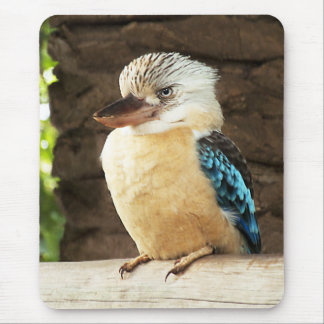 Tapis De Souris Kookaburra