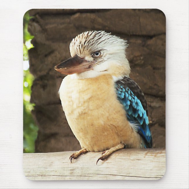 Tapis De Souris Kookaburra (Devant)