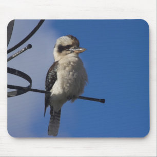 Tapis De Souris Kookaburra