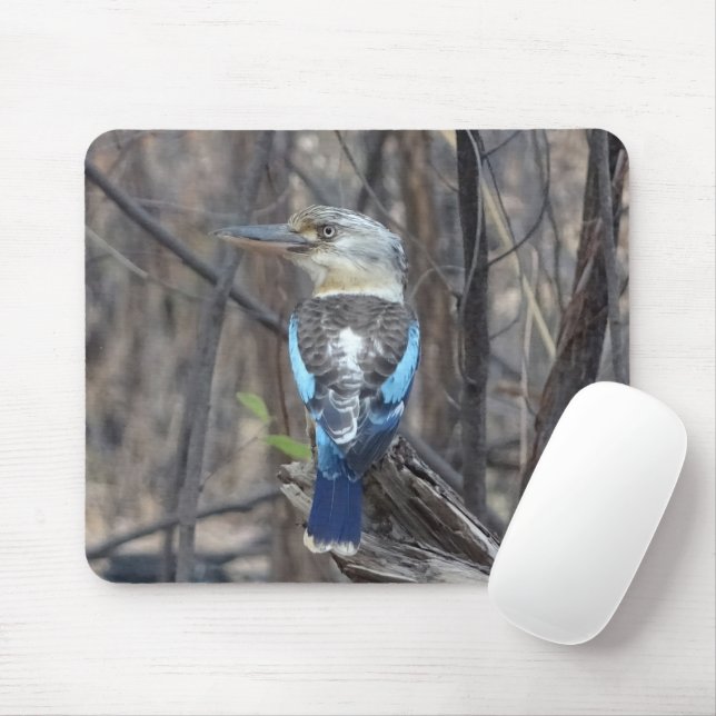 Tapis De Souris Kookaburra Bird (Avec souris)
