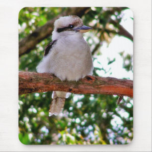 Tapis De Souris Kookaburra Bird sur une branche d'arbre Mousepad