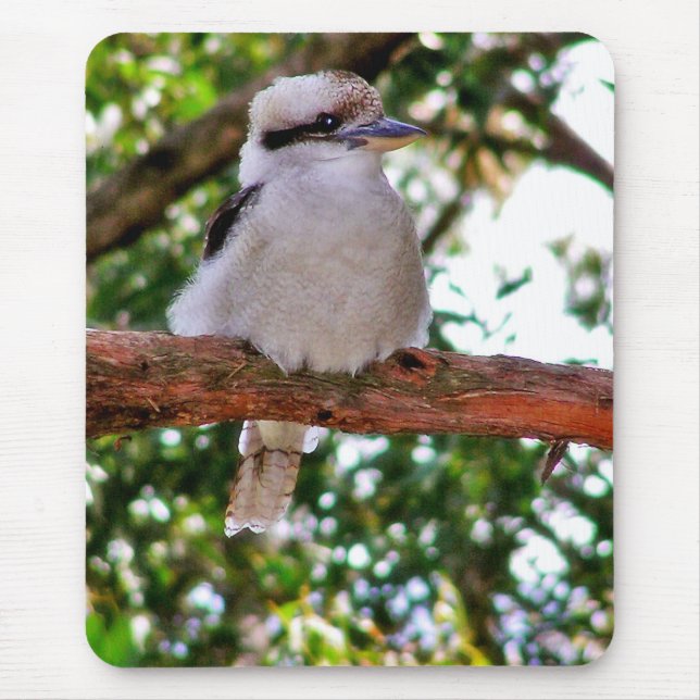 Tapis De Souris Kookaburra Bird sur une branche d'arbre Mousepad (Devant)