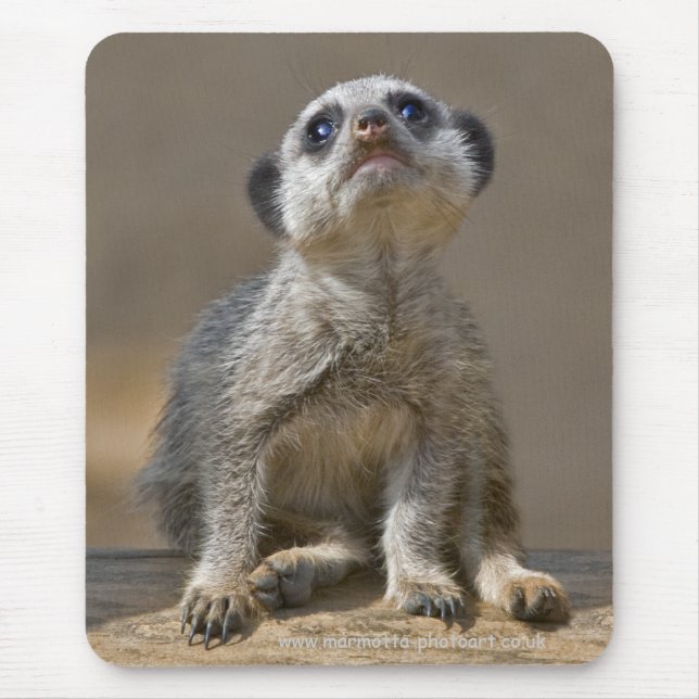 Tapis de souris Kute Kat (Devant)