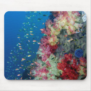 Tapis De Souris La barrière de corail sous-marine, Indonésie